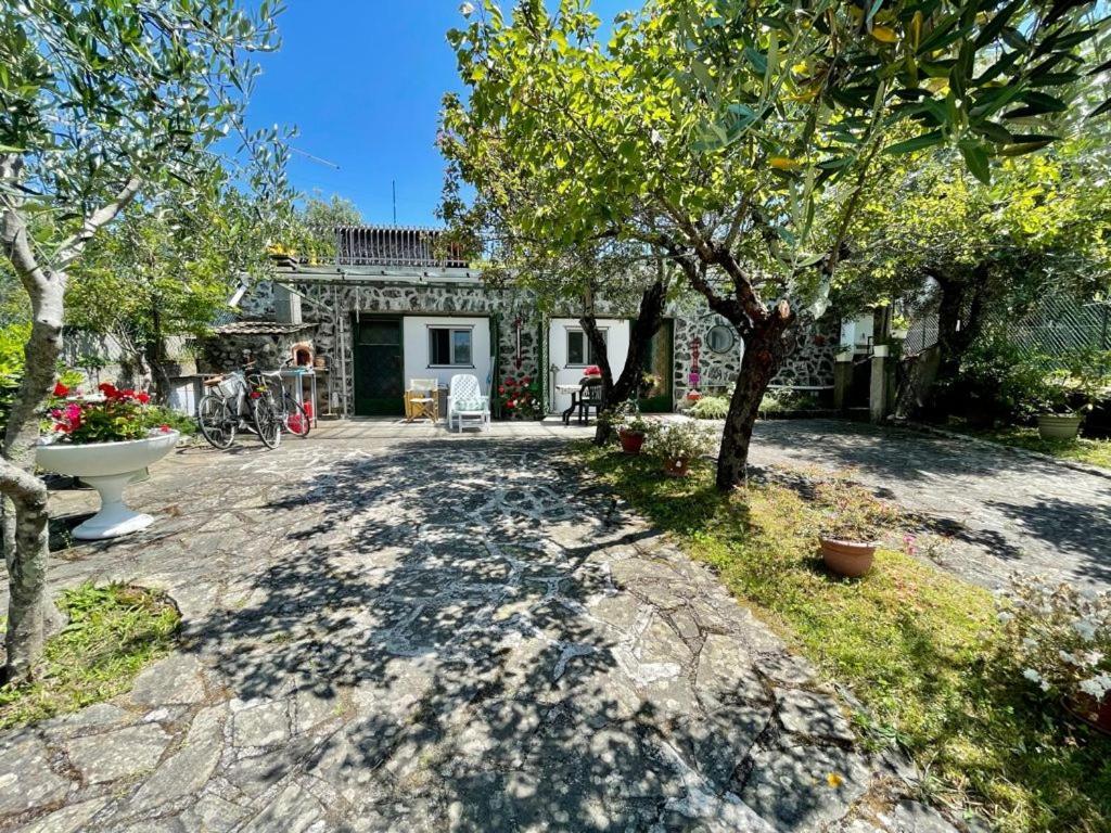 Rosy Apartment - Levanto, 5 Terre Екстер'єр фото